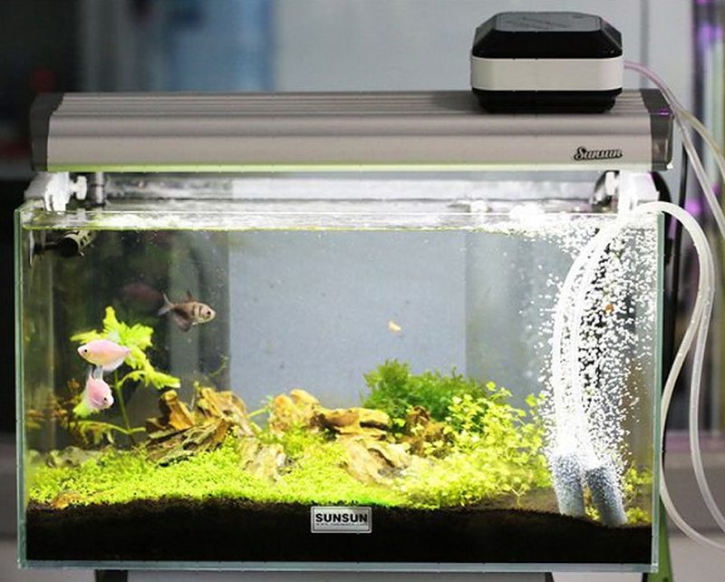 Компрессор SUNSUN CP-101 с аккумулятором регулируемый для аквариума до 100л
